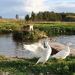Na Slonecznej Orawie U Dzikich *