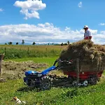 Bauernhof Na Slonecznej Orawie U Dzikich Jablonka (Lesser Poland)