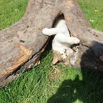 Na Slonecznej Orawie U Dzikich *