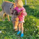 Na Slonecznej Orawie U Dzikich * Jablonka (Lesser Poland)