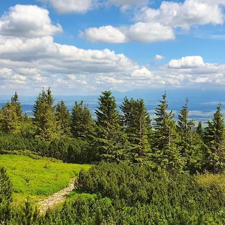 Na Slonecznej Orawie U Dzikich مزرعة للإقامة Jablonka (Lesser Poland)