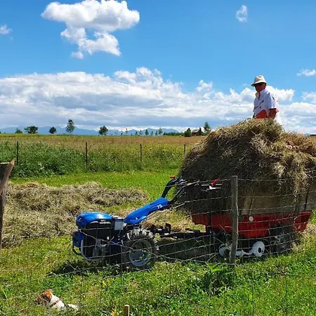 Bauernhof Na Slonecznej Orawie U Dzikich Jablonka (Lesser Poland)
