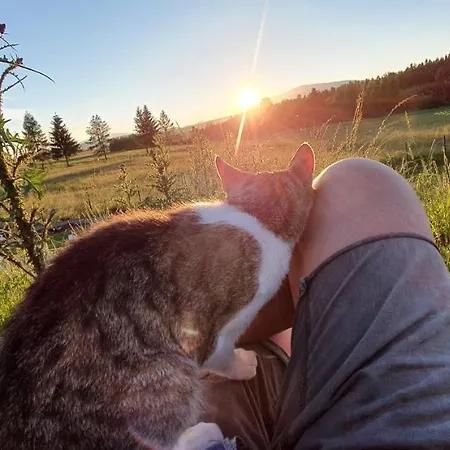 Na Slonecznej Orawie U Dzikich Jablonka (Lesser Poland)