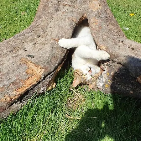 Na Slonecznej Orawie U Dzikich *