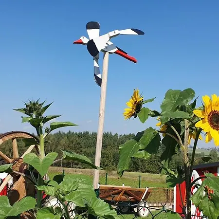Bauernhof Na Slonecznej Orawie U Dzikich Jablonka (Lesser Poland)
