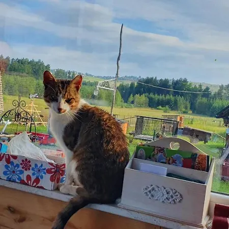 Na Slonecznej Orawie U Dzikich * Jablonka (Lesser Poland)