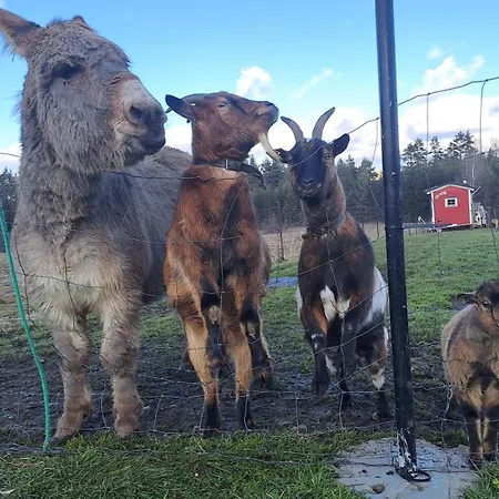 Na Slonecznej Orawie U Dzikich Κατάλυμα σε φάρμα *