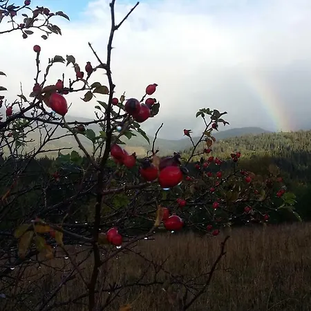 Na Slonecznej Orawie U Dzikich * Jablonka (Lesser Poland)