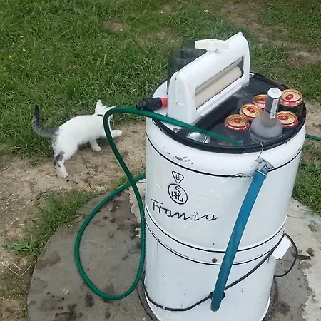 Na Slonecznej Orawie U Dzikich Farma Jablonka (Lesser Poland)