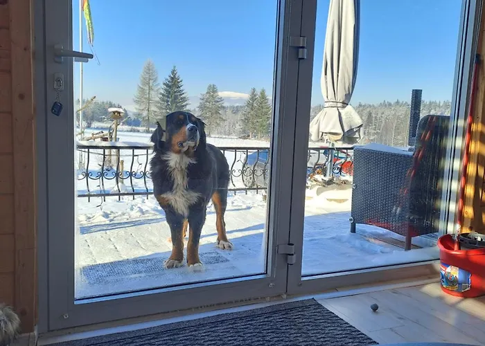 Κατάλυμα σε φάρμα Na Slonecznej Orawie U Dzikich